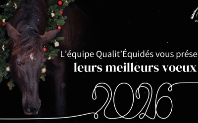 ✨ Bonne et Heureuse Année 2026 ! ✨
